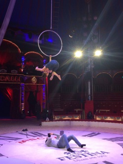 Per App können Kinder bald virtuell den Akrobaten des Circus Roncalli zusehen...