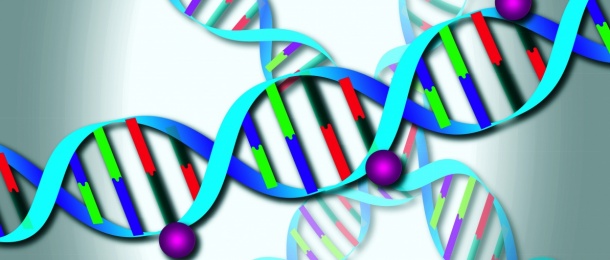 Photo: Chaos in cancer cells: Mysterious gene transcripts after therapy