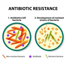 Nearly 20 percent of patients treated with antibiotics experienced adverse side...