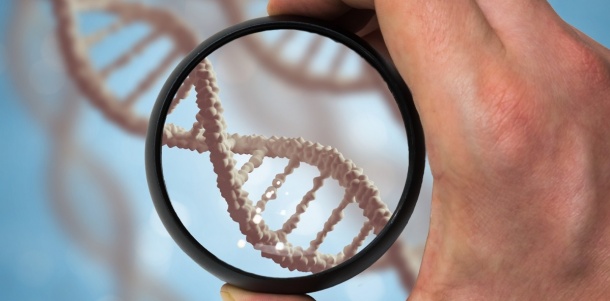With direct-to-consumer genetic testing, everyone can have a peek at their own...