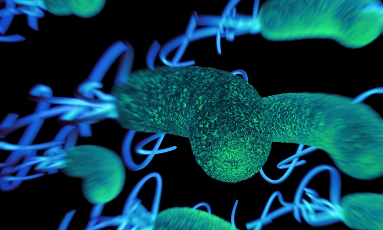 Wie Helicobacter pylori Magenkrebs auslöst • healthcare-in-europe.com