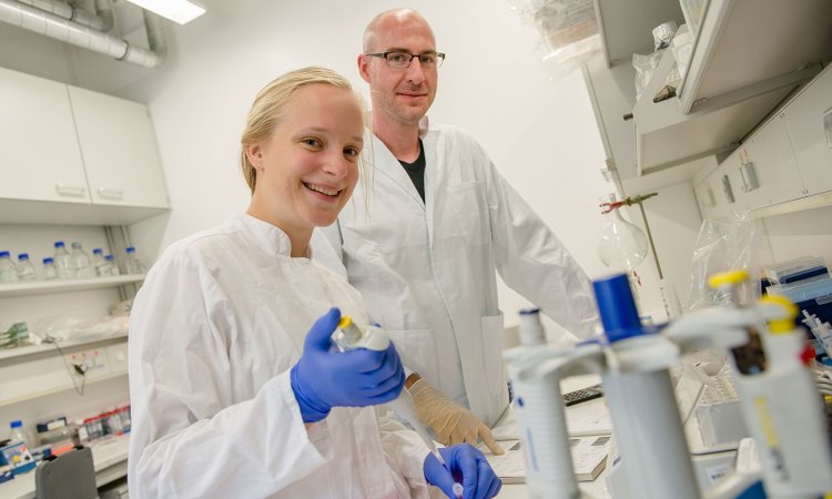 Ein Hepatitis-E-Killer aus Mahagoni? u2022 healthcare-in-europe.com