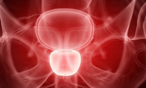 Prostate cancer: Researchers find molecular switch to prolong survival •  