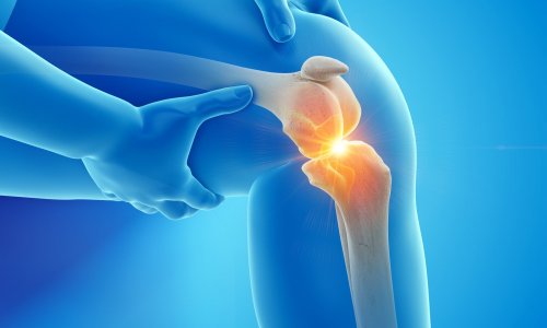 repair knee cartilage naturally