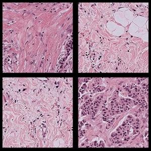 pathology • healthcare-in-europe.com
