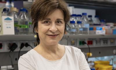 New therapeutic target to curb coronavirus spread