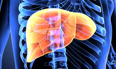 MASLD: The Systemic Impact of Fatty Liver Disease