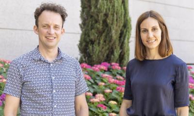 Prostate Cancer DNA Damage Driven by Internal Cell Processes, Not Environment