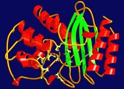 Photo: Evolving bacteria present new and difficult problems