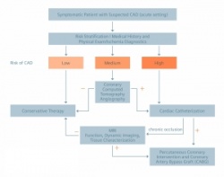 Figure 1a and 1b: Coronary CTA of a 63-year-old male (BMI 22) with recurrent...