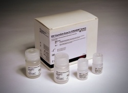 Photo: Beckman Coulter Expands Drugs of Abuse Test