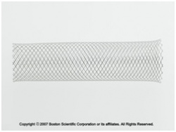 Wallstent Colonic Stent