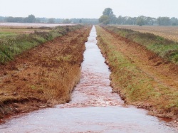 Photo: Hungarian sludge in K.U.Leuven lab