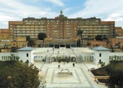 The University Hospitals Virgen del Rocío