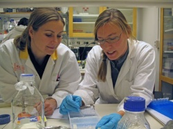 Karin Lindkvist and Maria Saline are two of the researchers who have studied...