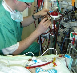 Perfusionist Johannes Gehron examines a newborn-ECMO for clots and sediments....