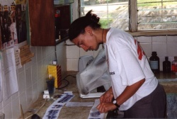 Cara Kosack, organising on day’s malaria slides during her first MSF mission,...