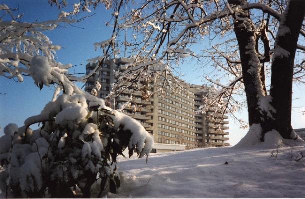 Bern University Hospital