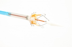 Photo: The Symetis Acurate TA Aortic Bioprosthesis and delivery system