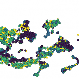 Umfassende Karte der Immunzell-Populationen während einer Entzündung im...