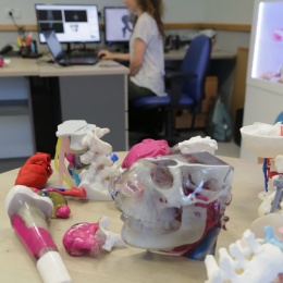 Patient Specific Models printed by multimaterial 3D printers to simulate...