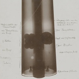 In Erwiderung der Anfrage aus dem Januar 1896 sendet Röntgen 1897 dem...