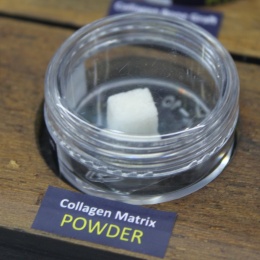 Regenerative medicine was among the core topics of Medical Taiwan. Collagen...