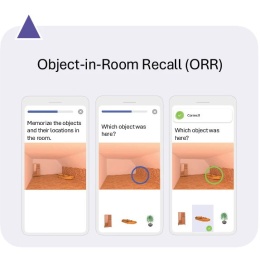 Ebenfalls wurde eine Aufgabe zum assoziativen Gedächtnis (Object-in-Room...