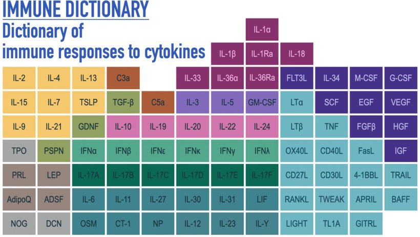table depicting the variety of immune responses to cytokines