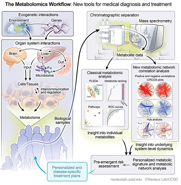 This graphic describes the metabolomics workflow the researchers used to...