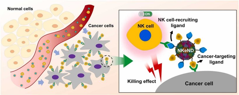 Schematic image of NK cell-engaging nanodrones (NKeNDs)