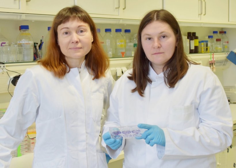 Prof. Anna Dubrovska (links) und Dr. Ielizaveta Gorodetska (rechts) untersuchen...
