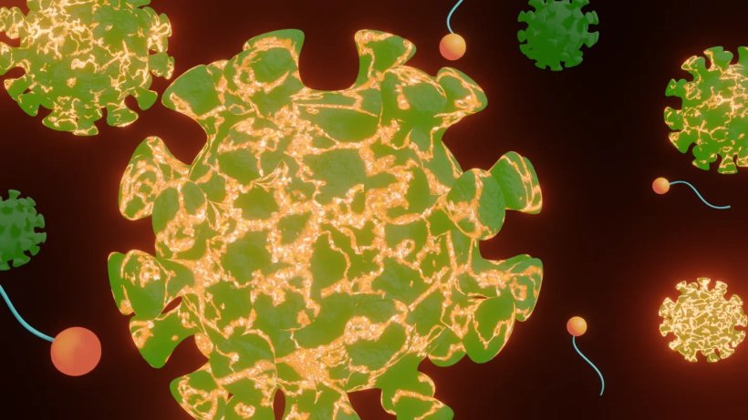 3D rendering of virus particles with vein-like pattern over them
