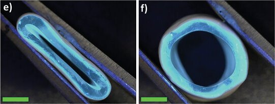 Left: a graft fully compressed using a tweezer; right: a graft structure...