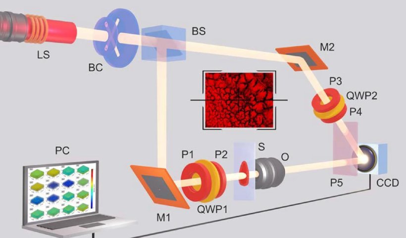 Schematic illustration of blood testing method