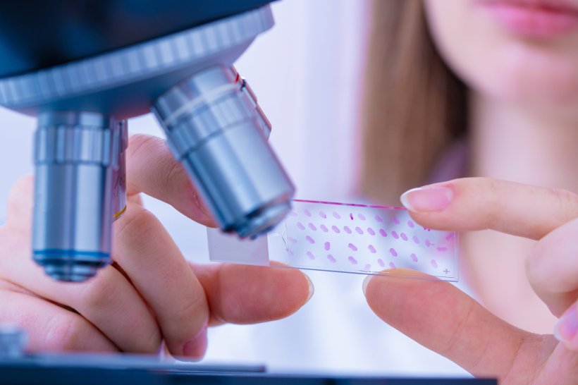 A female laboratory worker is holding a sample plate in her hands. To the left,...