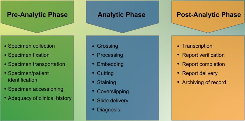 A diagram consisting of three pillars, detailing on the pre-analytic phase,...