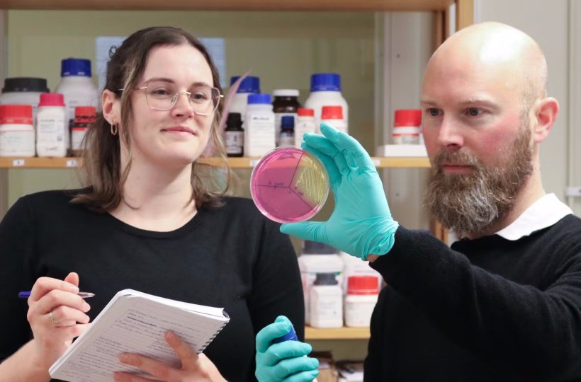 Rachel Feeney and Björn Schröder look at a sample plate with bacteria....