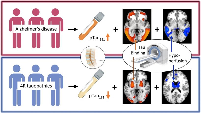 Graphical summary of research results, with stylized people as patient groups,...