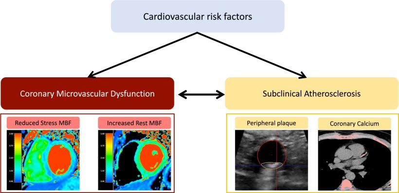 Cardiovascular risk factors (particularly metabolic syndrome, insulin...