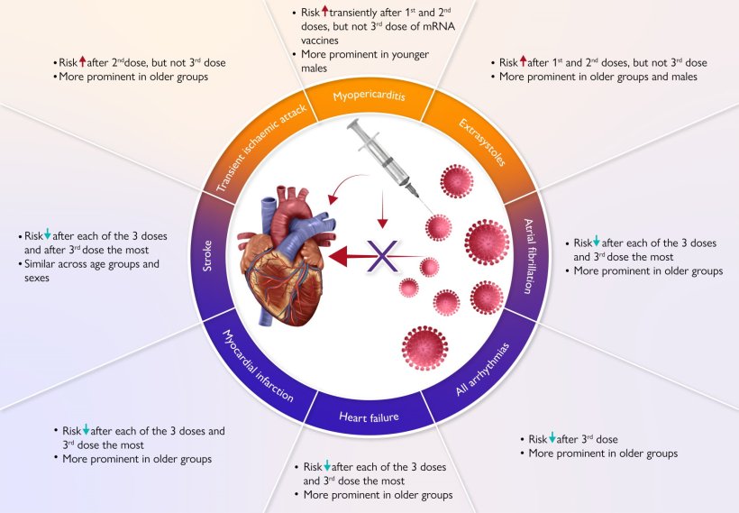 Structured graphical abstract of the research findings: Conceptual framework...