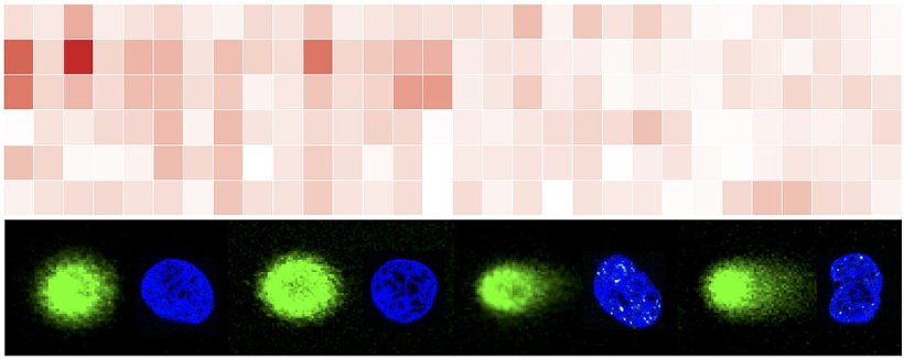 A research team at the University of Würzburg has gained new insights into the...