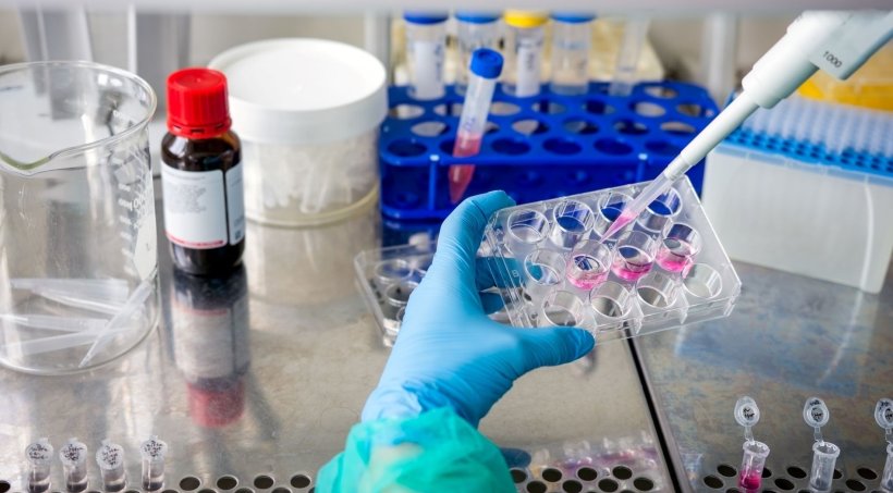 Pipetting and preparing samples in cancer research laboratory