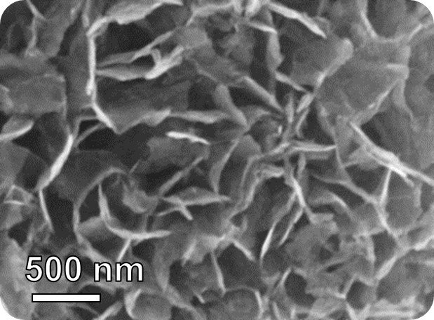 These nanoflakes show promise in detecting lung cancer by sensing a change in...