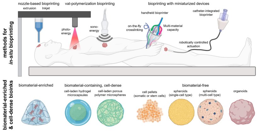 This image shows a variety of of in-situ bioprinting methods and bio-inks