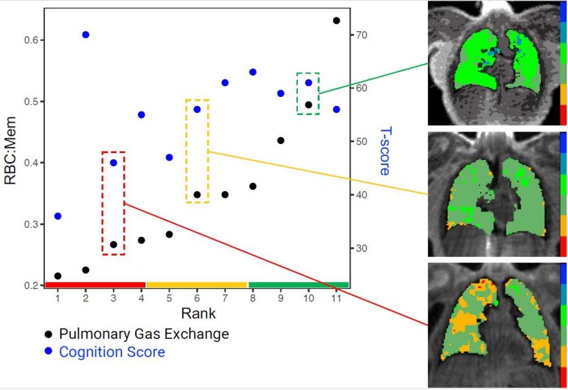 Individuals in the study are plotted with x-axis being rank of pulmonary gas...