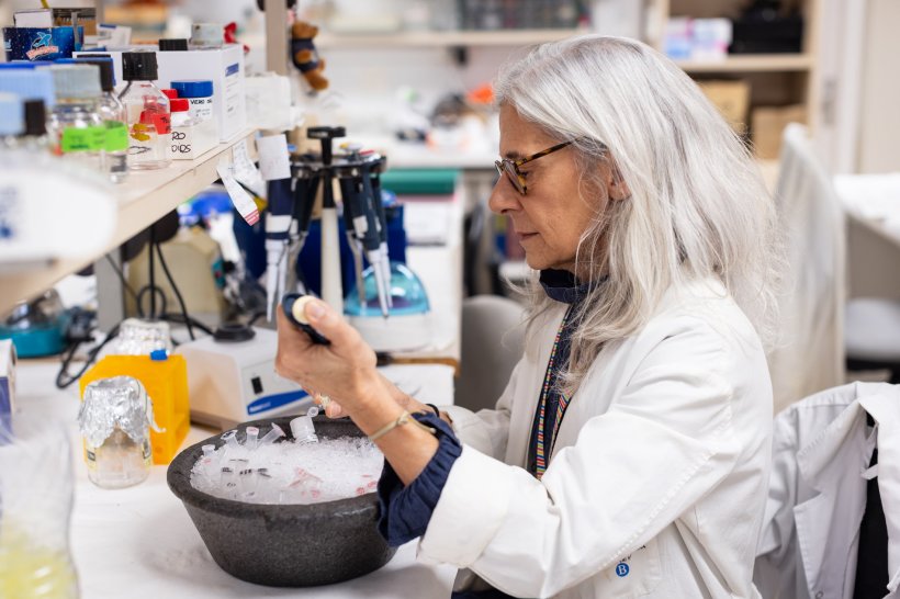 Verónica Noé, from the University of Barcelona’s Faculty of Pharmacy and...