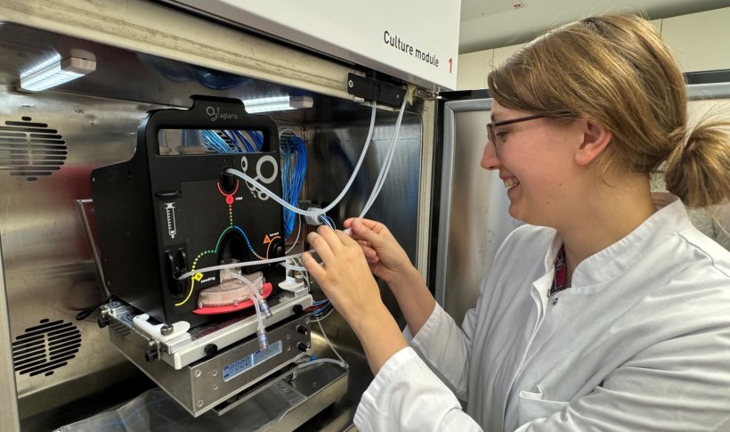 Dr. Katrin Mestermann kontrolliert die Schläuche im Bioreaktor.