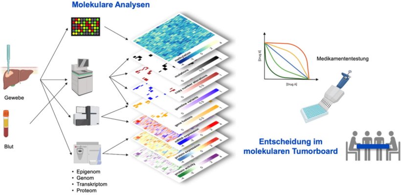 Schematischer Workflow in der Studie RATIONALE: Gewebe- und Blutproben werden...