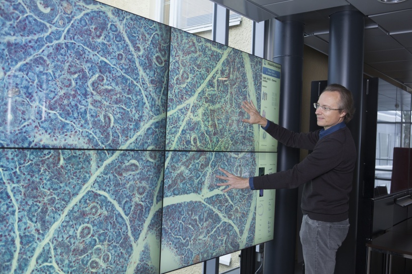 Lundin using a Finmic web microscope